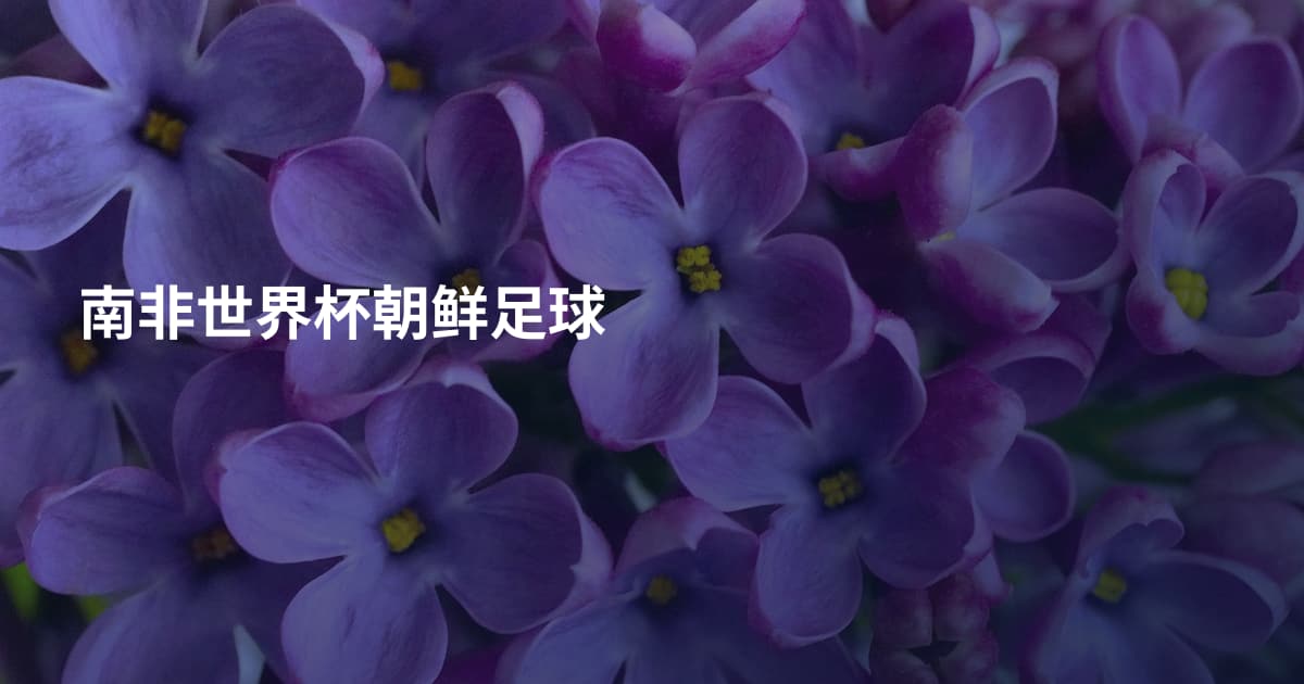 南非世界杯朝鲜足球