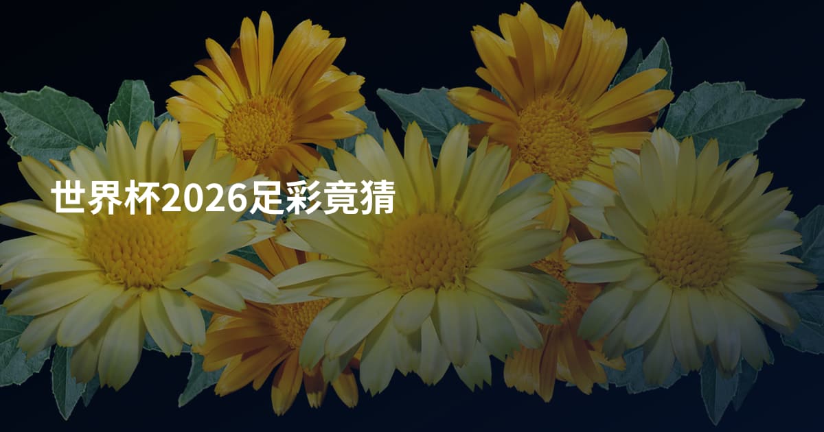世界杯2026足彩竟猜