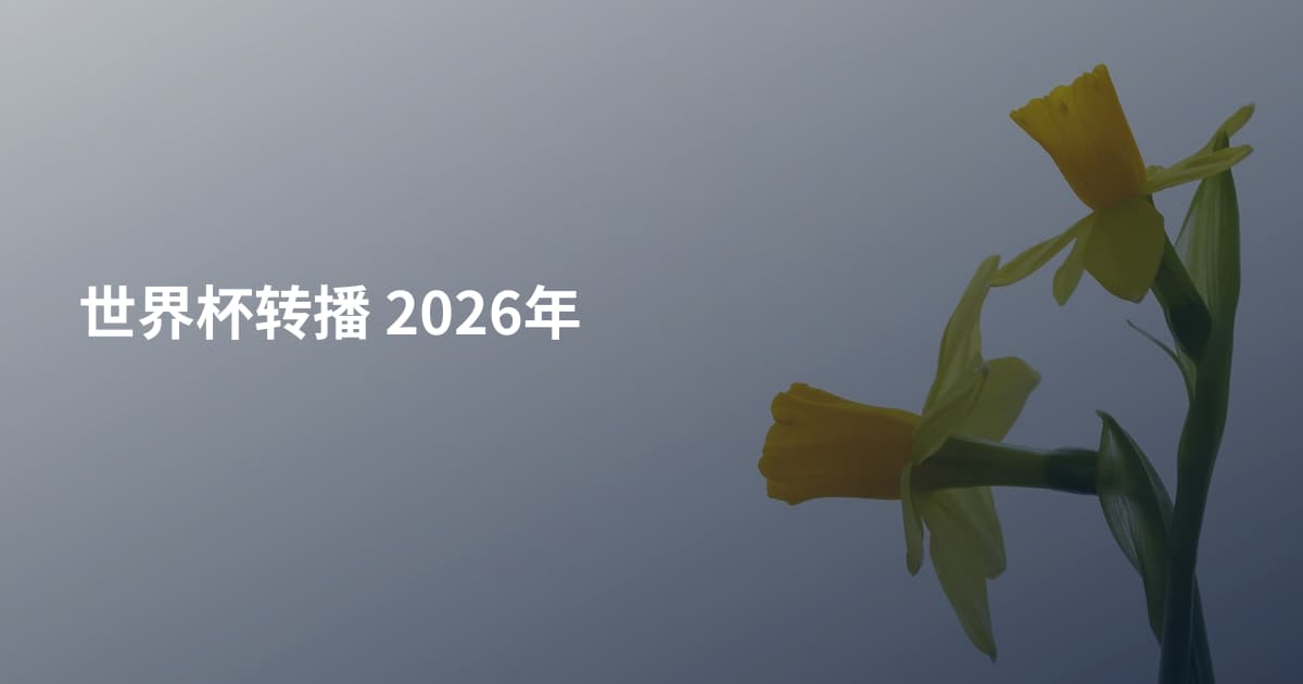 世界杯转播 2026年