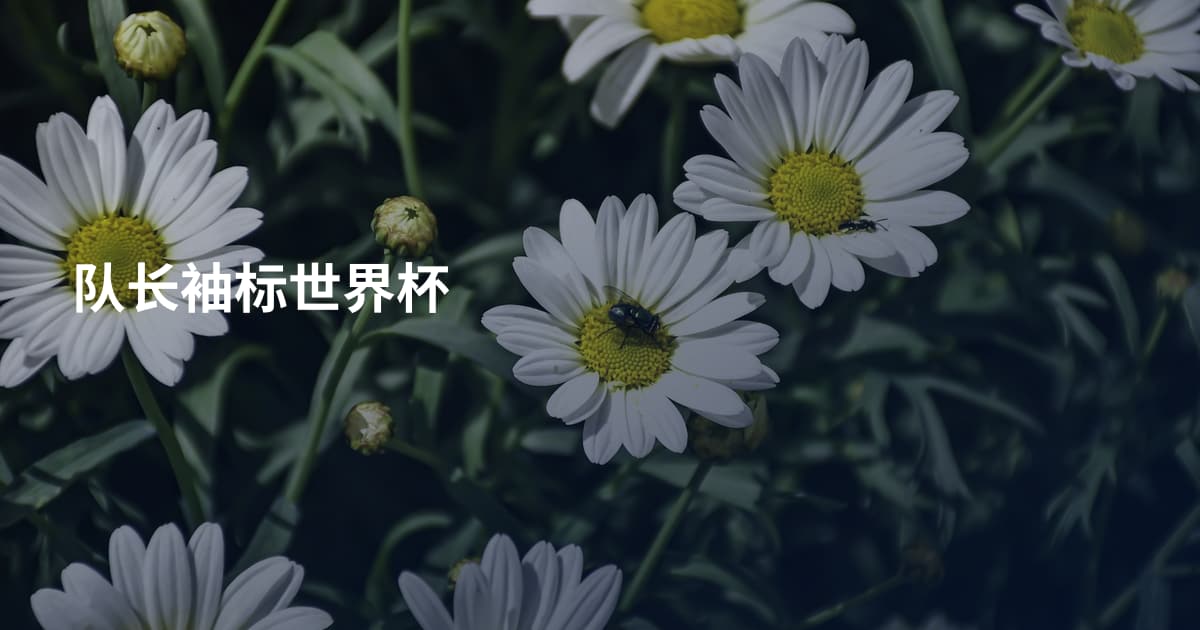 队长袖标世界杯