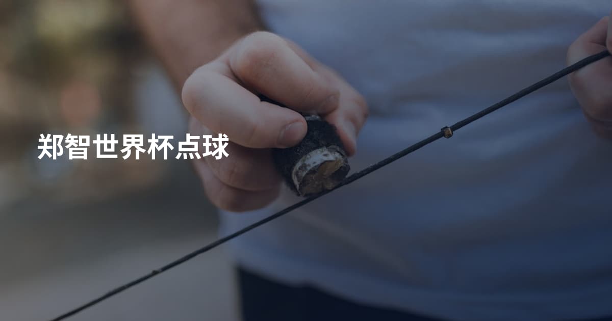 郑智世界杯点球