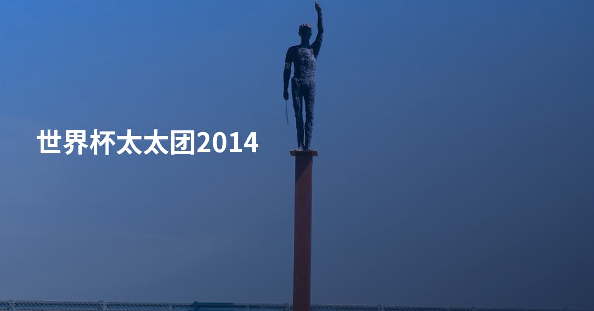 世界杯太太团2014