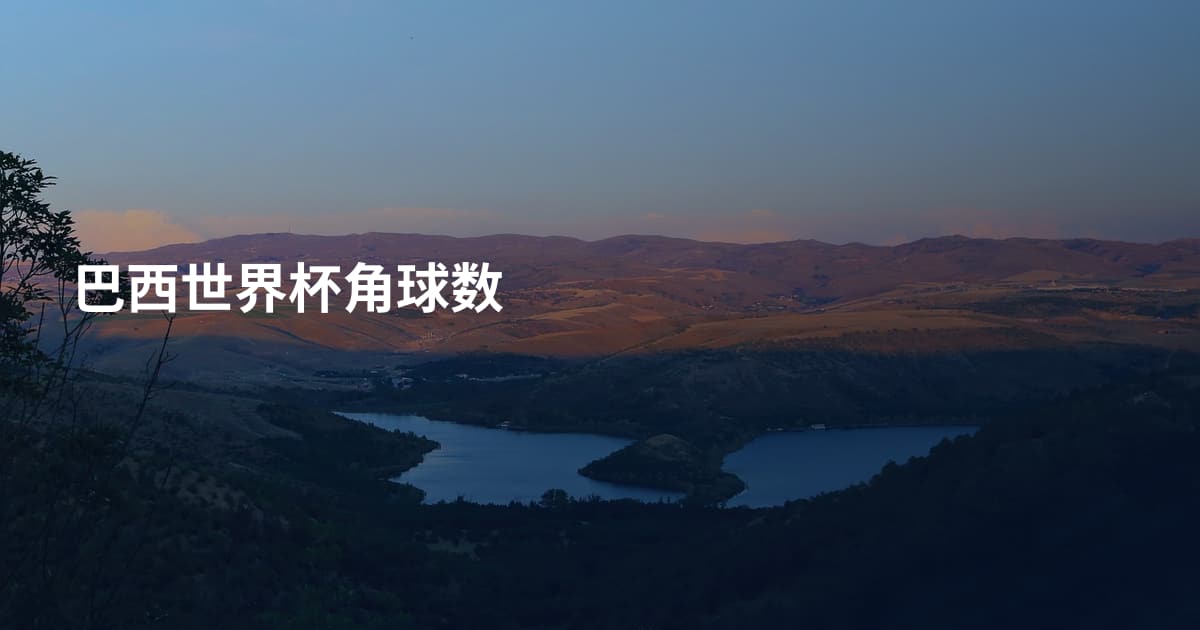巴西世界杯角球数