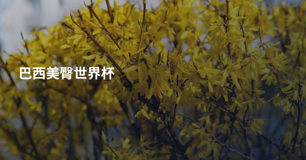 巴西美臀世界杯