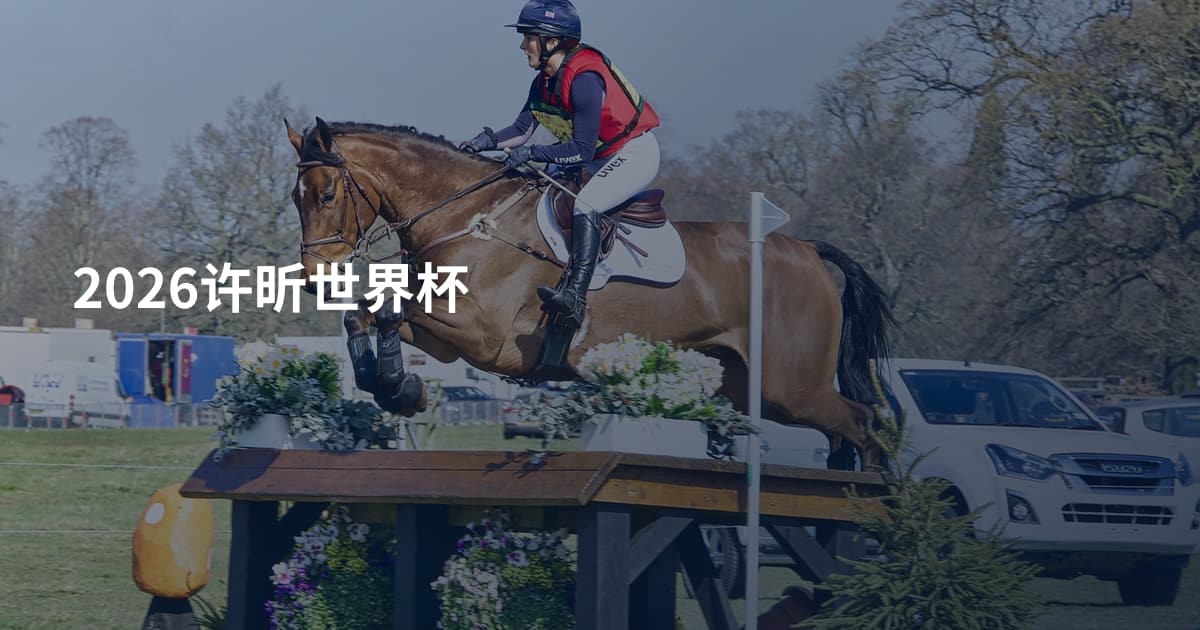 2026许昕世界杯