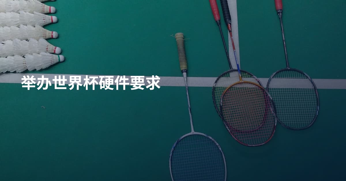 举办世界杯硬件要求