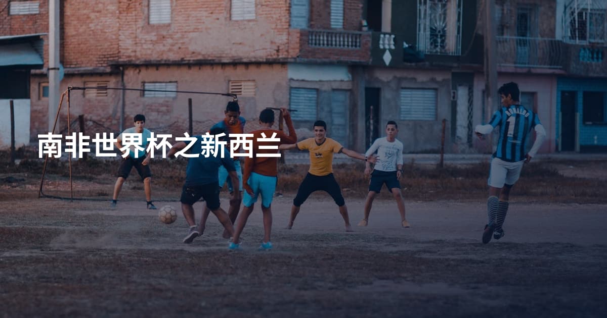 南非世界杯之新西兰