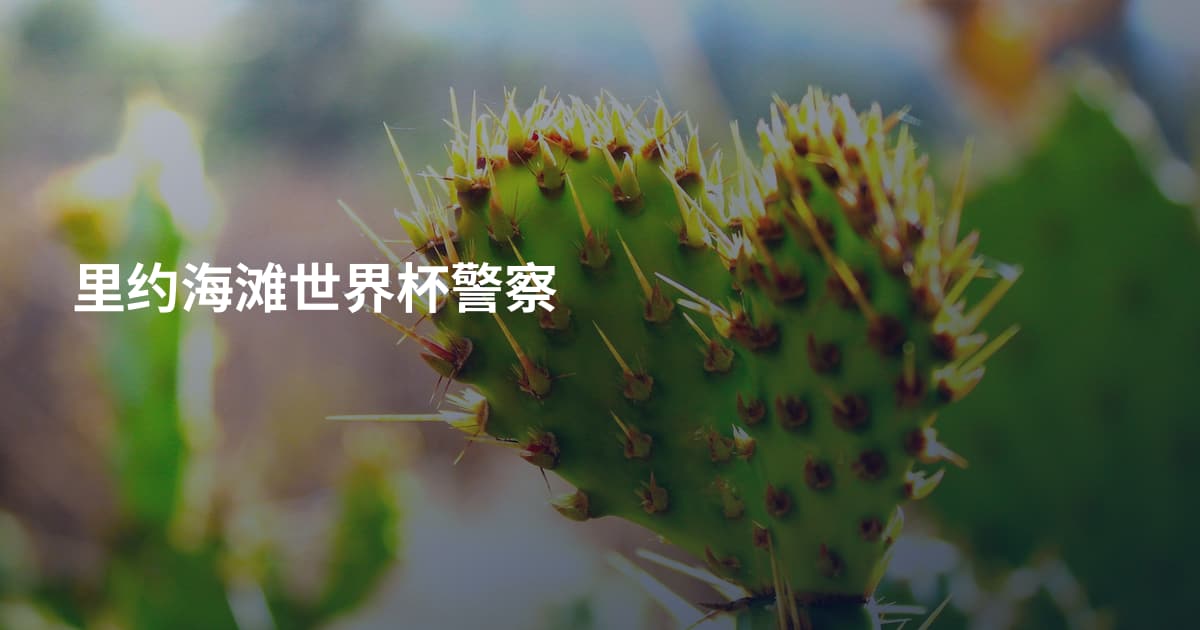里约海滩世界杯警察