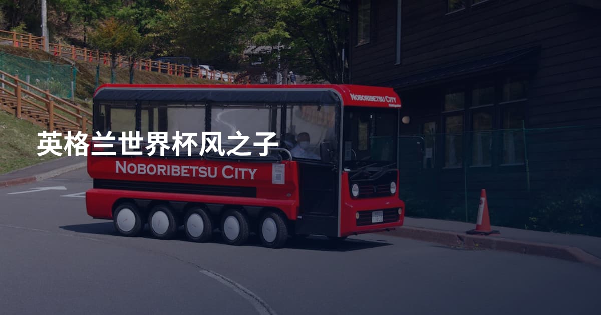 英格兰世界杯风之子
