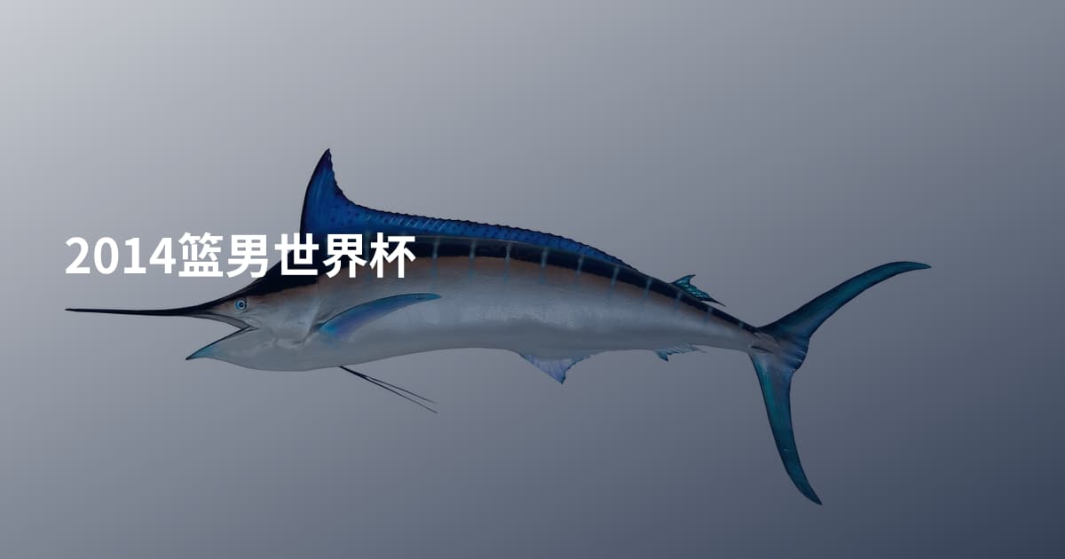 2014篮男世界杯
