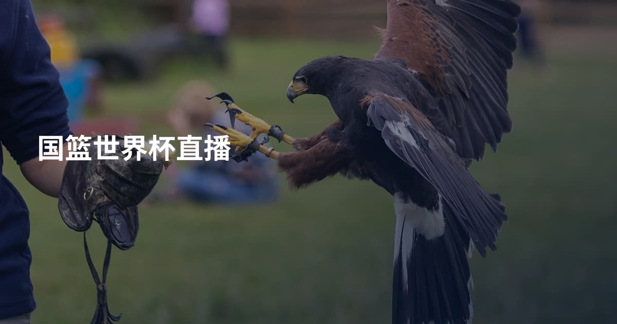 国篮世界杯直播