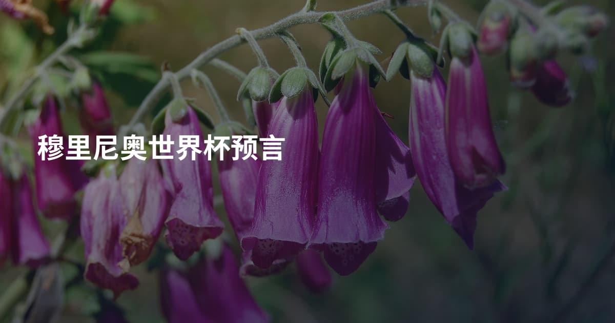 穆里尼奥世界杯预言