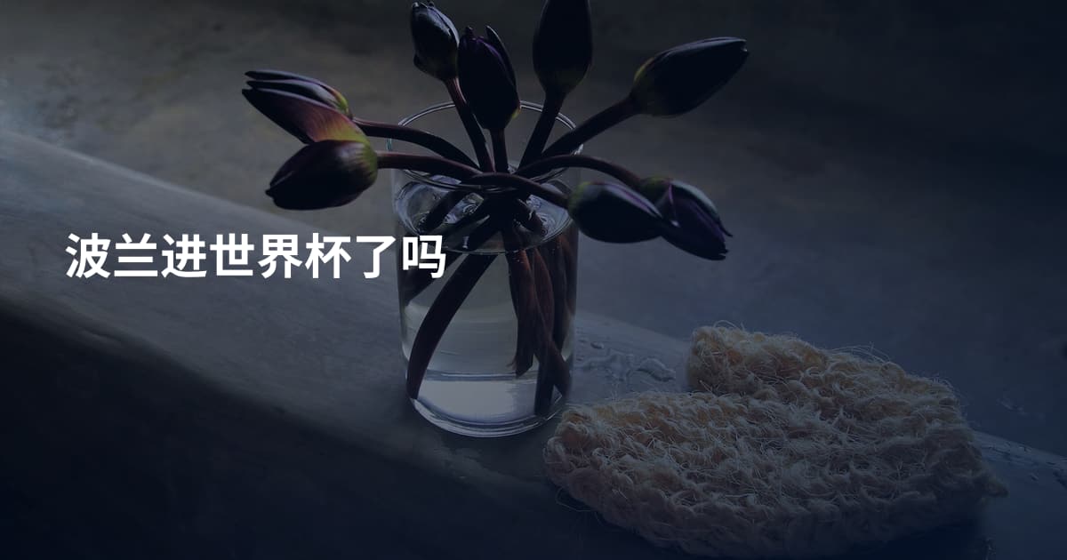 波兰进世界杯了吗