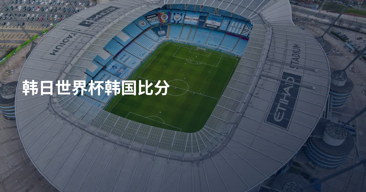 韩日世界杯韩国比分
