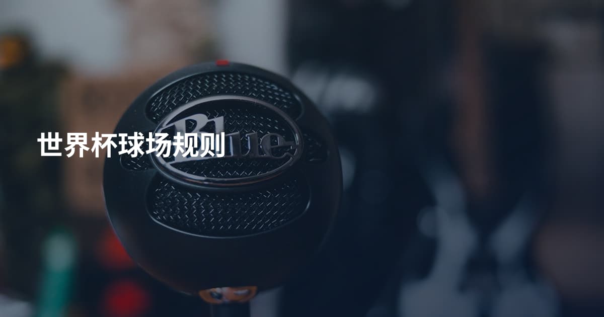 世界杯球场规则