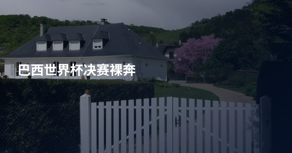 巴西世界杯决赛裸奔