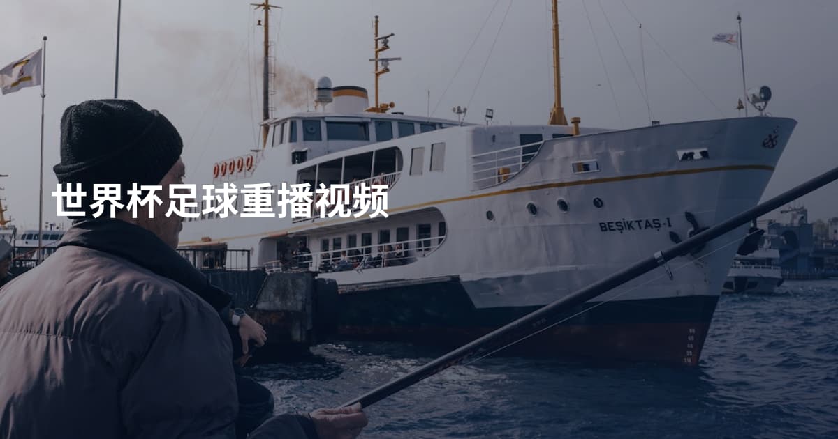 世界杯足球重播视频
