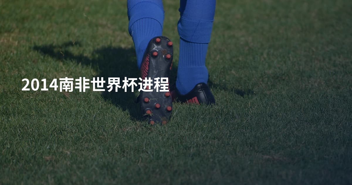 2014南非世界杯进程