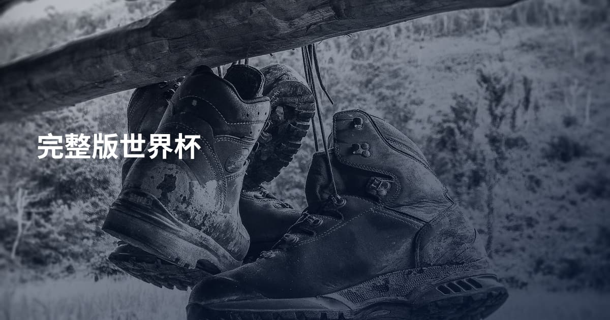 完整版世界杯