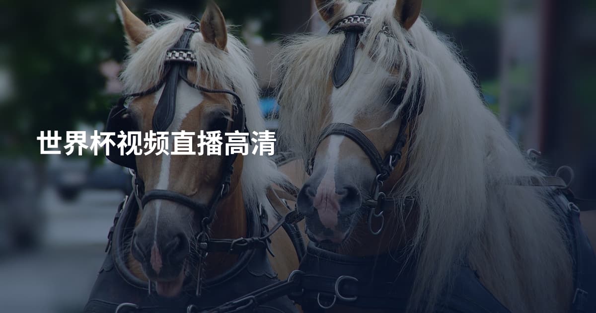 世界杯视频直播高清