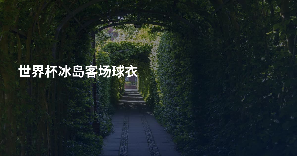 世界杯冰岛客场球衣