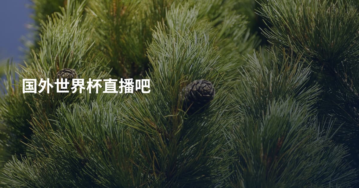 国外世界杯直播吧