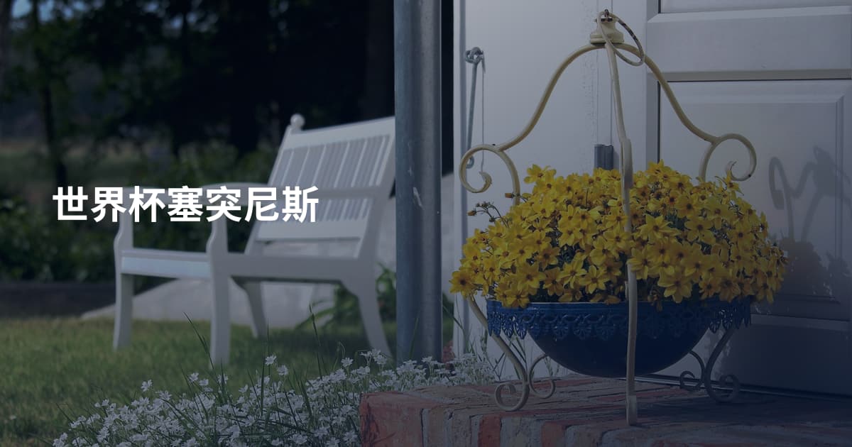 世界杯塞突尼斯