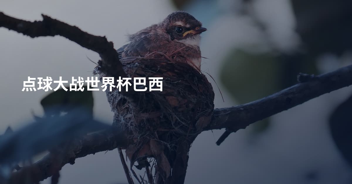 点球大战世界杯巴西