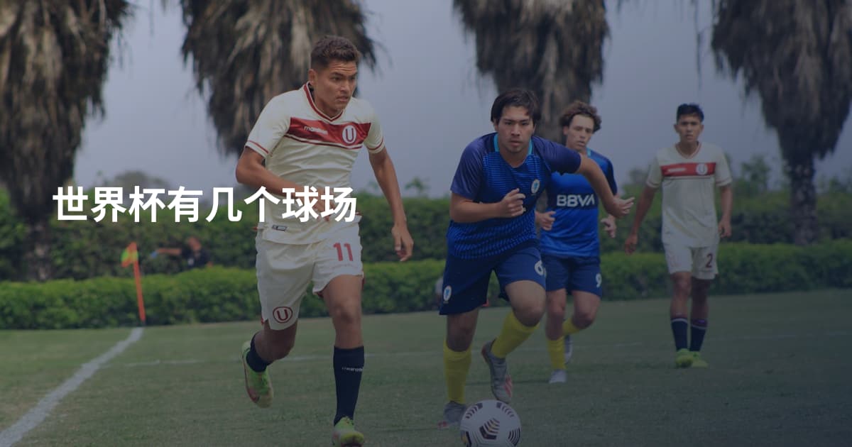 世界杯有几个球场