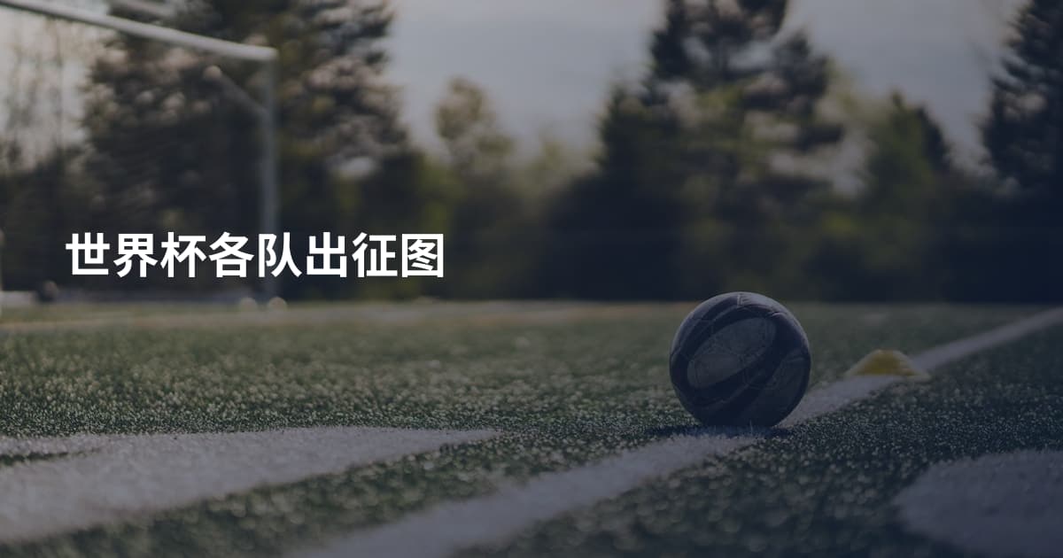 世界杯各队出征图