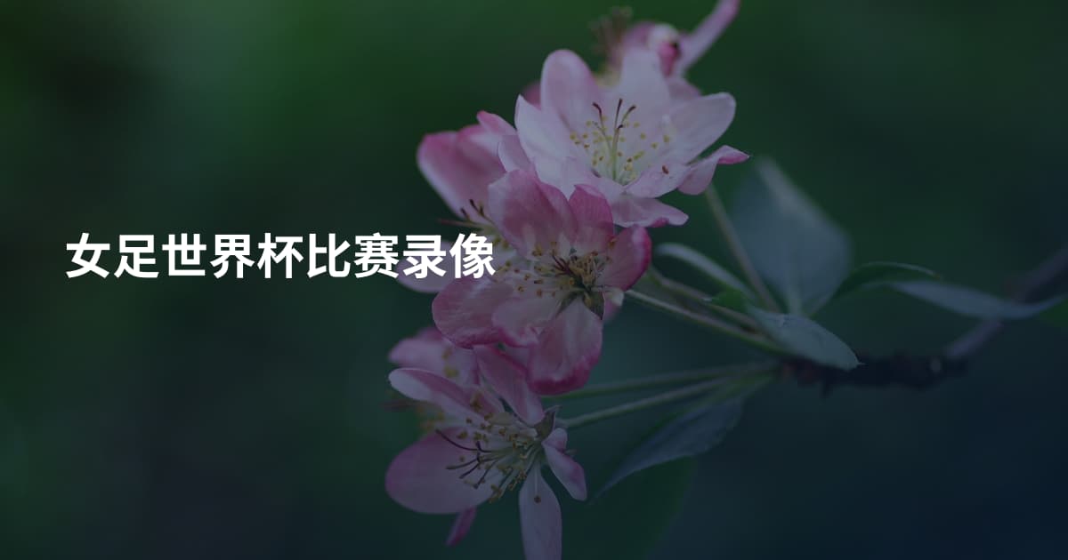 女足世界杯比赛录像