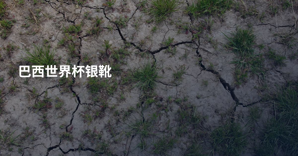 巴西世界杯银靴