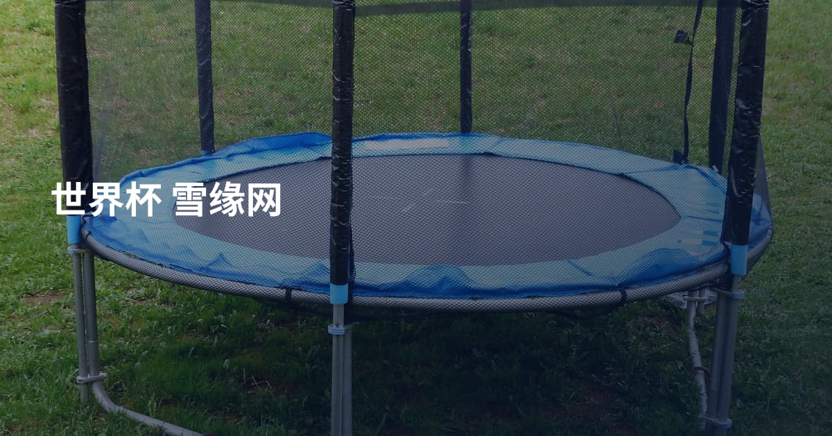 世界杯 雪缘网