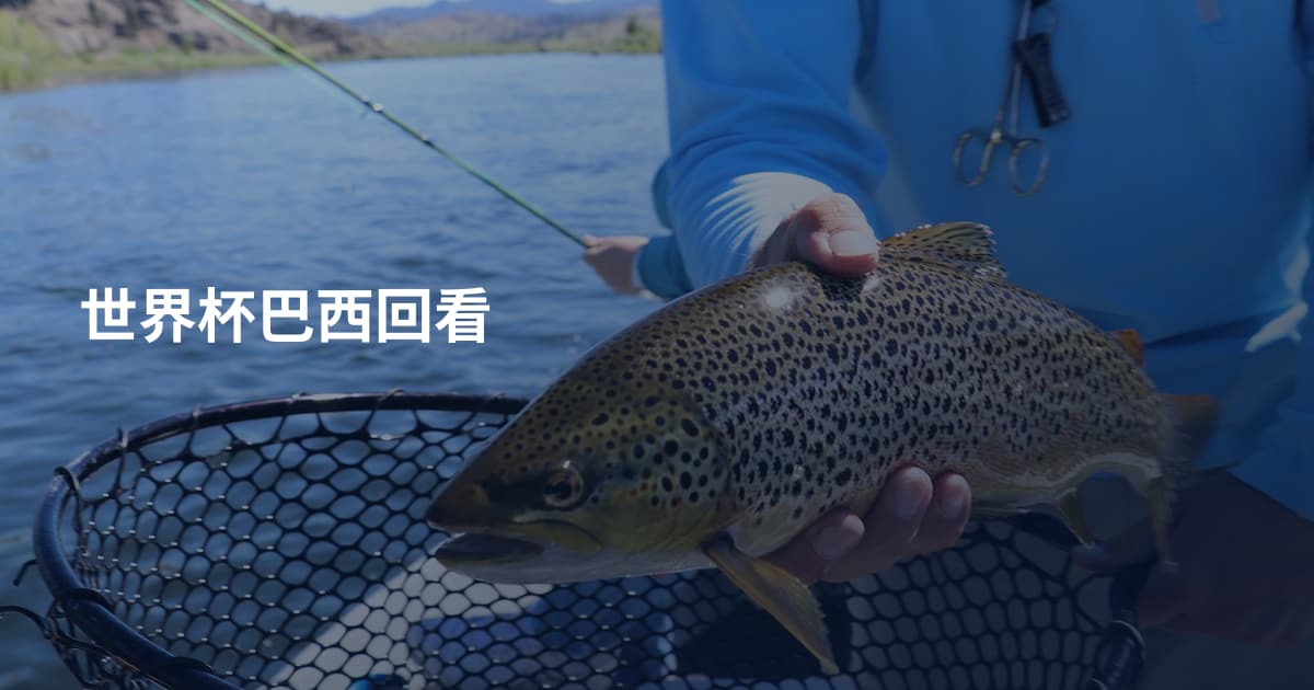 世界杯巴西回看