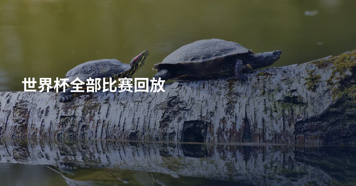 世界杯全部比赛回放
