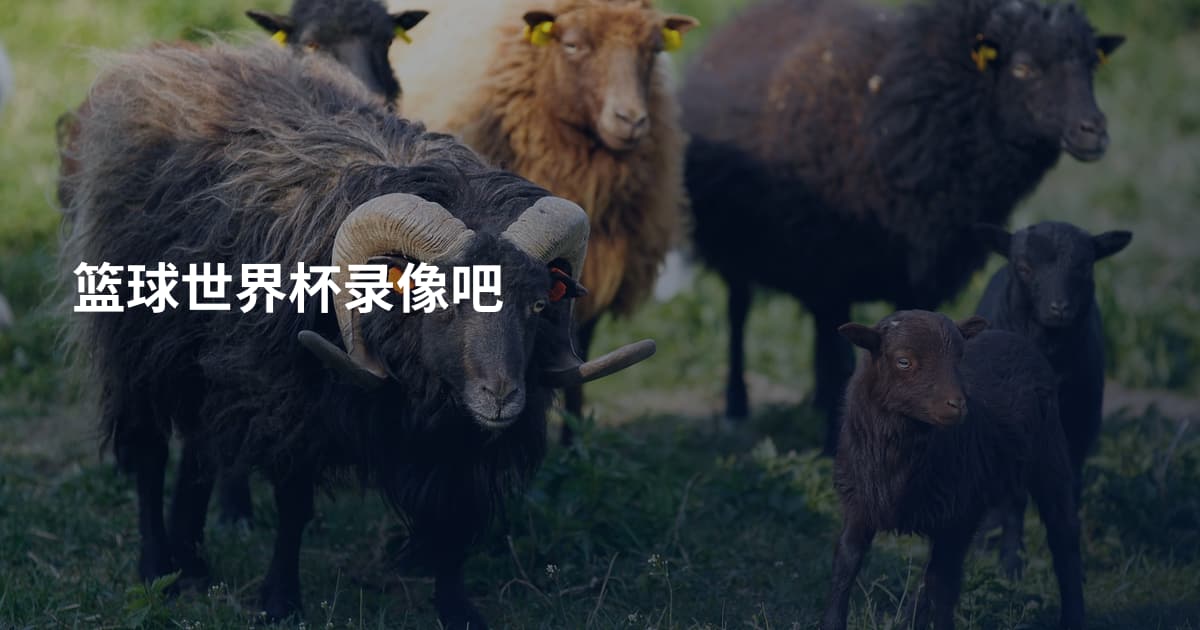 篮球世界杯录像吧