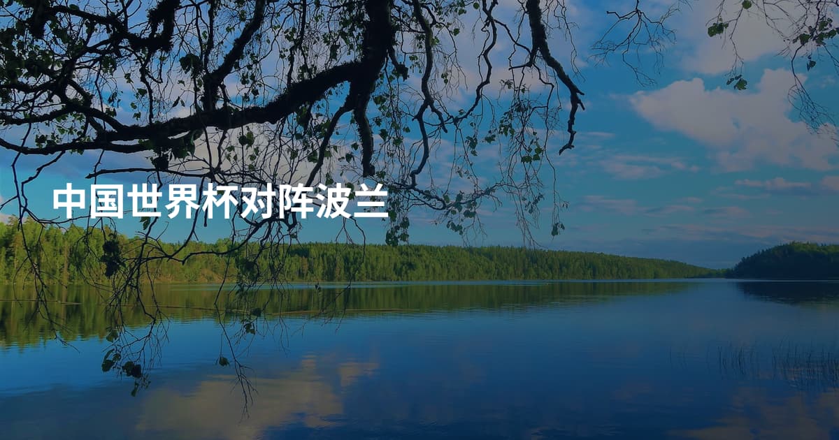 中国世界杯对阵波兰