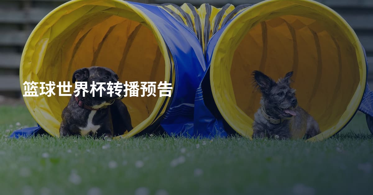 篮球世界杯转播预告