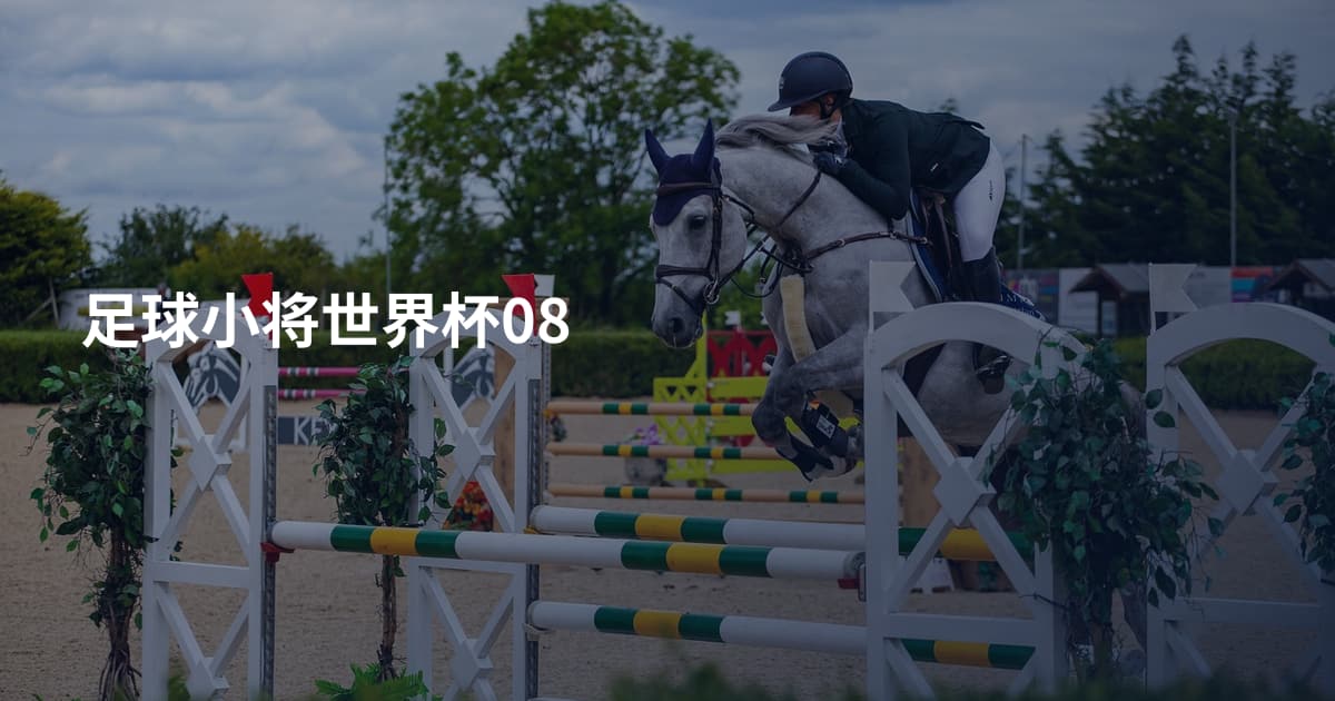 足球小将世界杯08