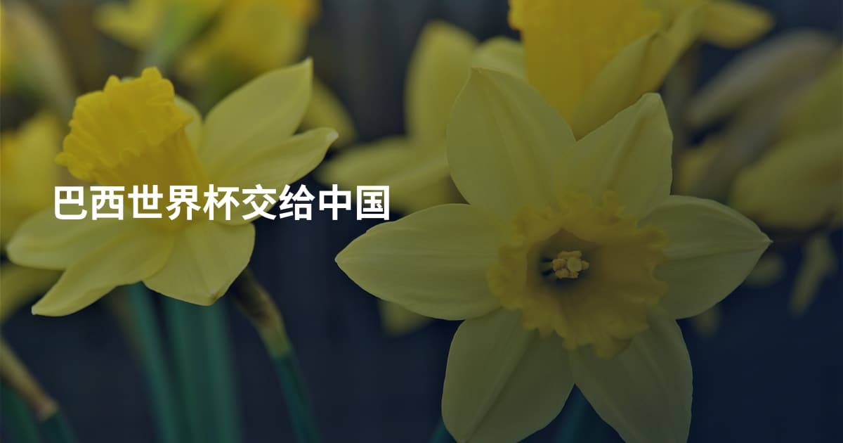 巴西世界杯交给中国