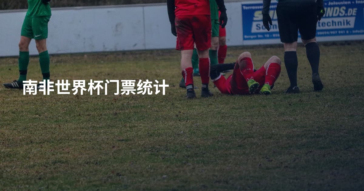 南非世界杯门票统计