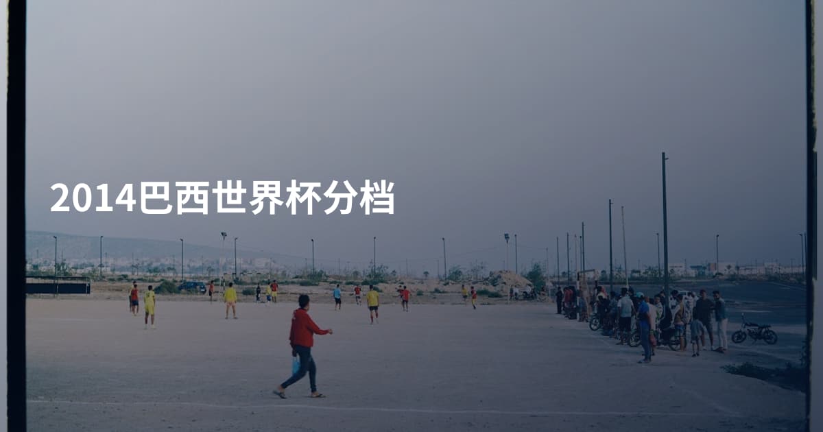 2014巴西世界杯分档
