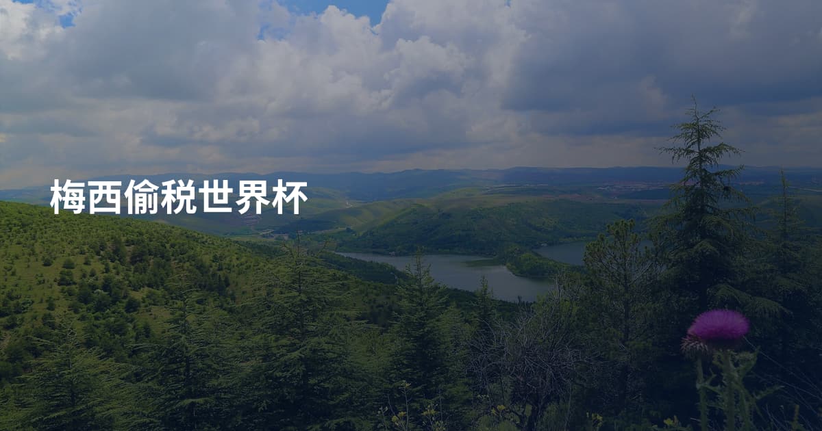 梅西偷税世界杯