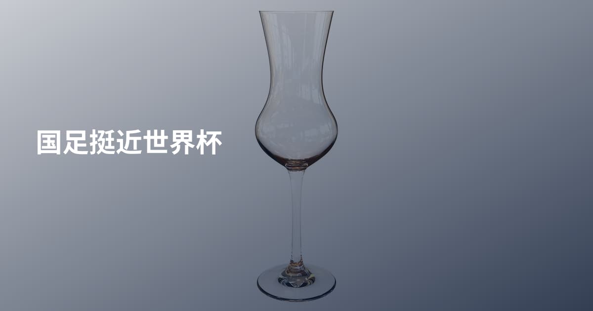 国足挺近世界杯
