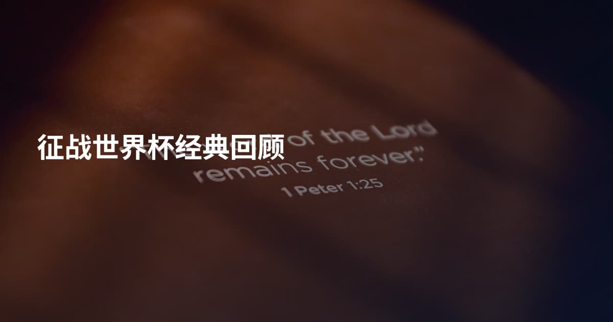 征战世界杯经典回顾