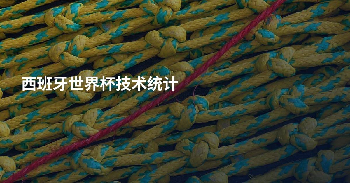 西班牙世界杯技术统计