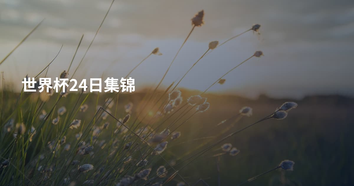 世界杯24日集锦
