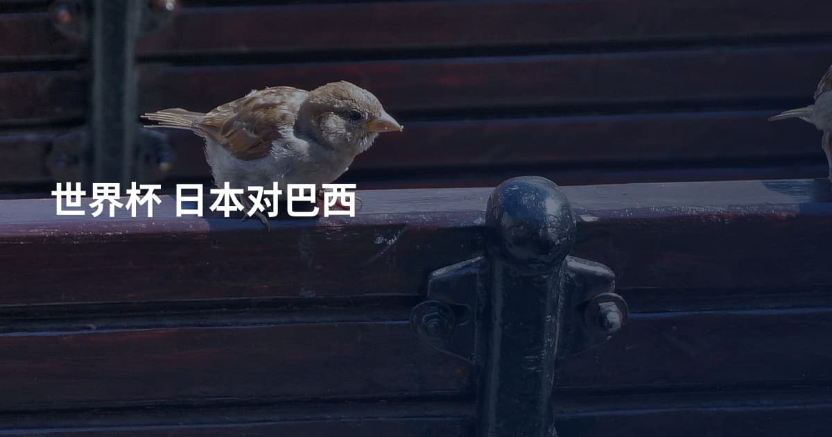 世界杯 日本对巴西
