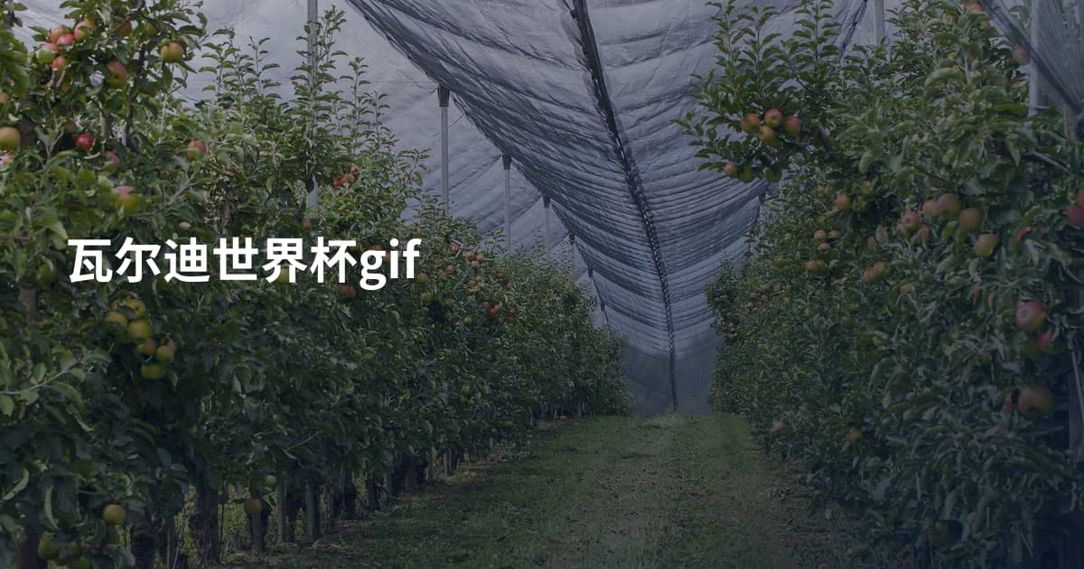瓦尔迪世界杯gif