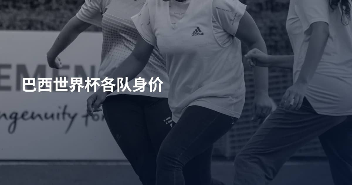 巴西世界杯各队身价